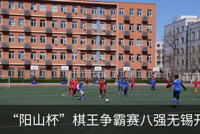 “阳山杯”棋王争霸赛八强无锡开战 丁浩等晋级半决赛