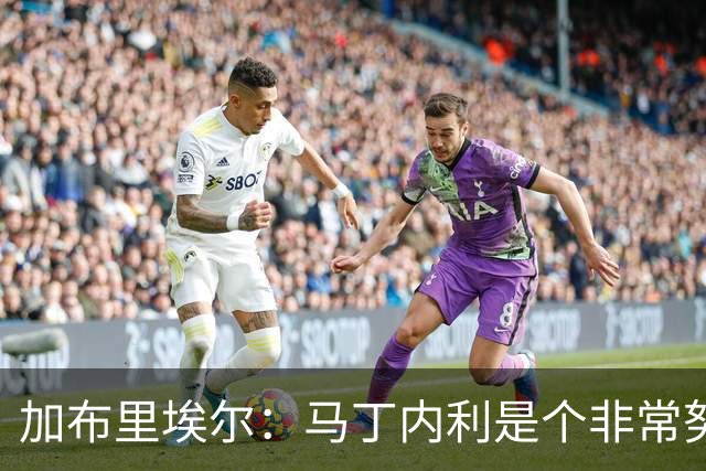 加布里埃尔：马丁内利是个非常努力的年轻人，他有能力决定比赛